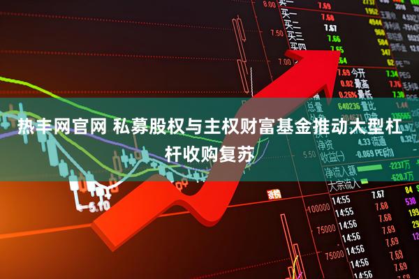 热丰网官网 私募股权与主权财富基金推动大型杠杆收购复苏