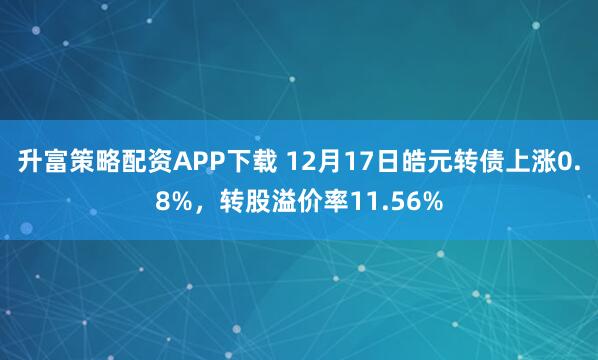 升富策略配资APP下载 12月17日皓元转债上涨0.8%，转股溢价率11.56%