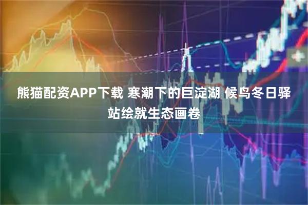 熊猫配资APP下载 寒潮下的巨淀湖 候鸟冬日驿站绘就生态画卷