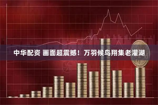 中华配资 画面超震撼！万羽候鸟翔集老灌湖