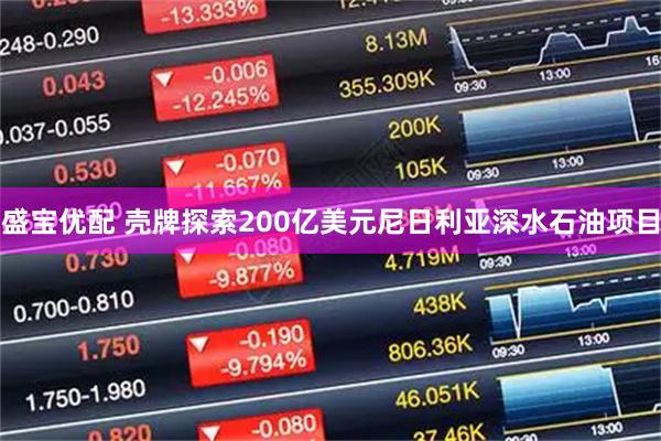 盛宝优配 壳牌探索200亿美元尼日利亚深水石油项目
