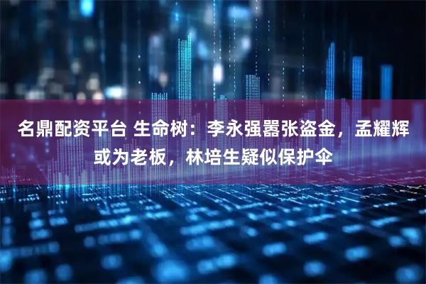 名鼎配资平台 生命树：李永强嚣张盗金，孟耀辉或为老板，林培生疑似保护伞