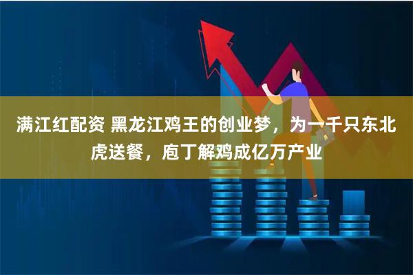 满江红配资 黑龙江鸡王的创业梦，为一千只东北虎送餐，庖丁解鸡成亿万产业